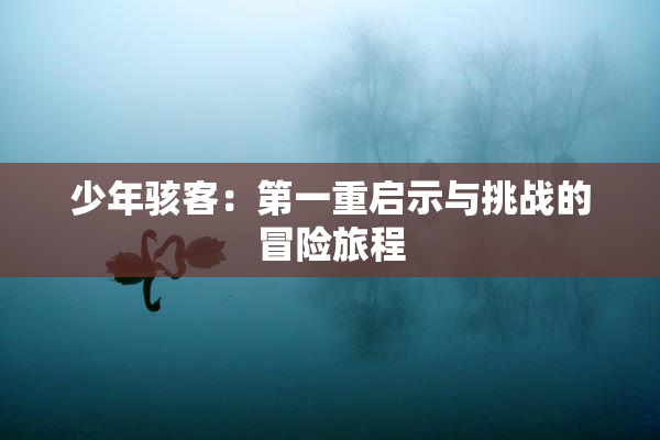 少年骇客：第一重启示与挑战的冒险旅程