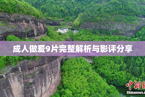 成人做爰9片完整解析与影评分享