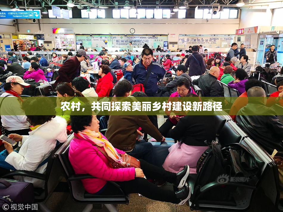 农村，共同探索美丽乡村建设新路径