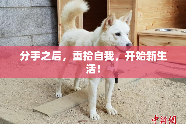 分手之后，重拾自我，开始新生活！