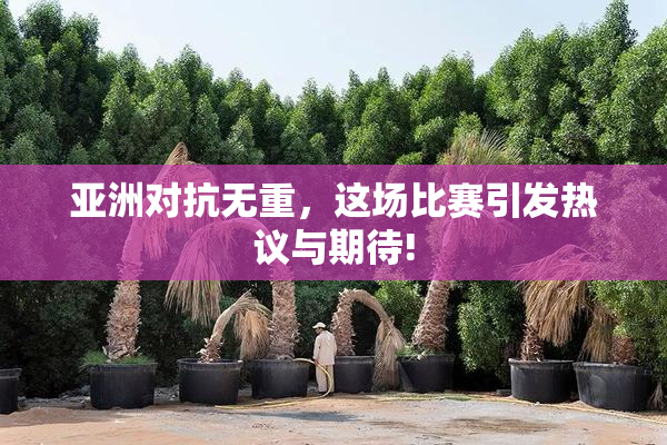 亚洲对抗无重，这场比赛引发热议与期待!
