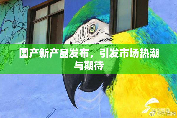 国产新产品发布，引发市场热潮与期待