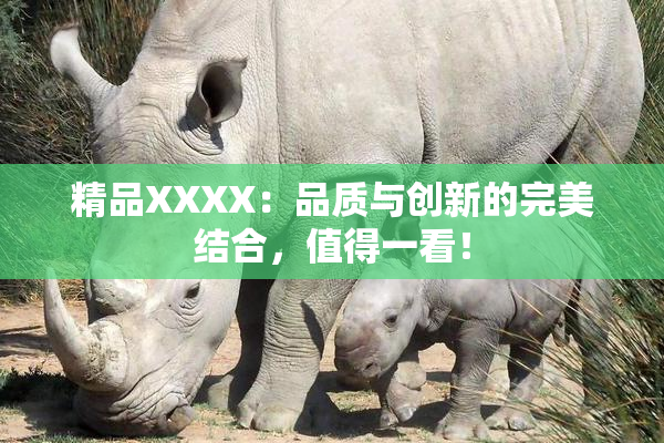 精品XXXX：品质与创新的完美结合，值得一看！