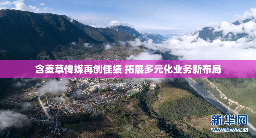 含羞草传媒再创佳绩 拓展多元化业务新布局
