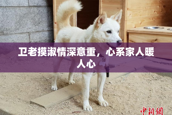 卫老摸淑情深意重，心系家人暖人心