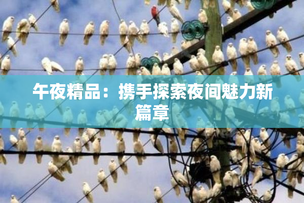 午夜精品：携手探索夜间魅力新篇章