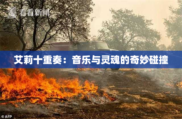 艾莉十重奏：音乐与灵魂的奇妙碰撞