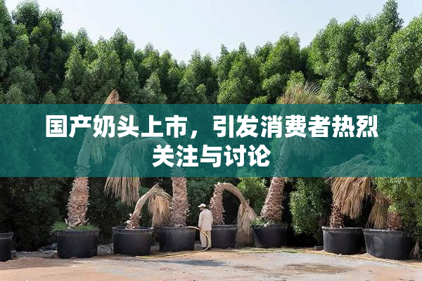 国产奶头上市，引发消费者热烈关注与讨论