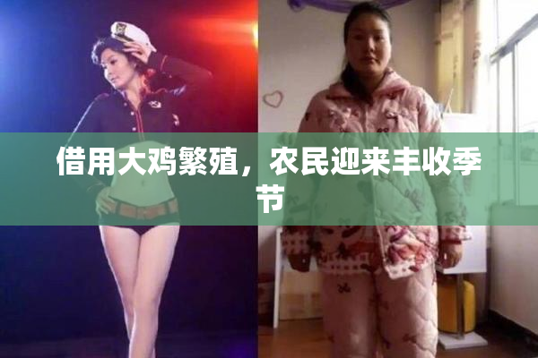 借用大鸡繁殖，农民迎来丰收季节