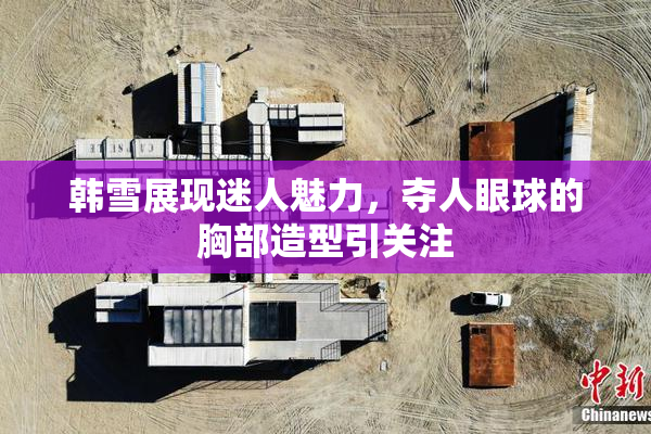 韩雪展现迷人魅力，夺人眼球的胸部造型引关注