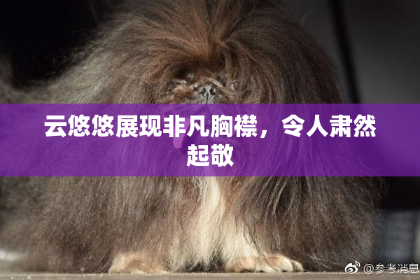 云悠悠展现非凡胸襟，令人肃然起敬