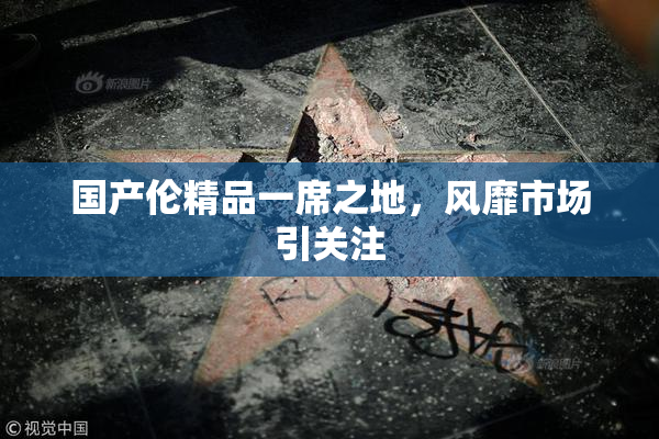 国产伦精品一席之地，风靡市场引关注