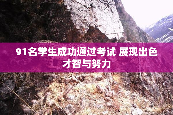 91名学生成功通过考试 展现出色才智与努力