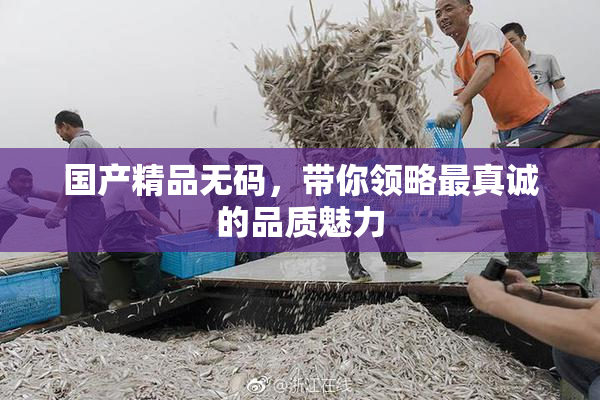国产精品无码，带你领略最真诚的品质魅力