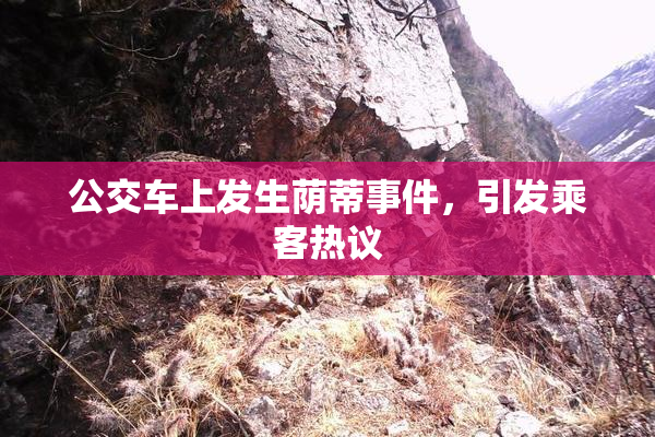 公交车上发生荫蒂事件，引发乘客热议