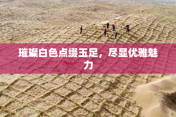 璀璨白色点缀玉足，尽显优雅魅力