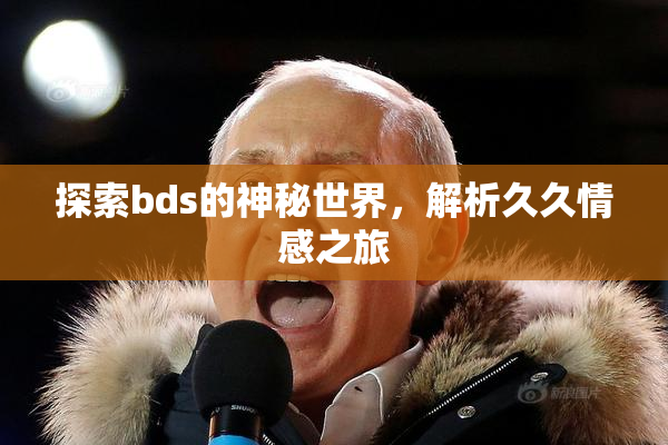 探索bds的神秘世界，解析久久情感之旅