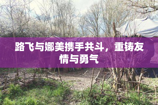 路飞与娜美携手共斗，重铸友情与勇气