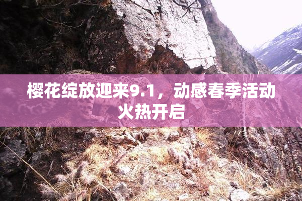 樱花绽放迎来9.1，动感春季活动火热开启
