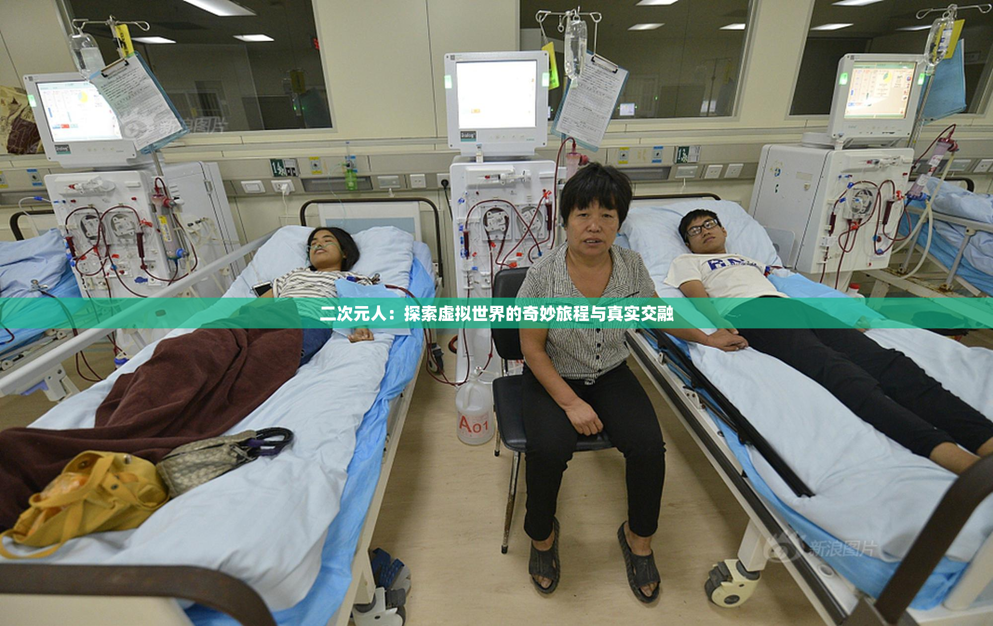 二次元人：探索虚拟世界的奇妙旅程与真实交融