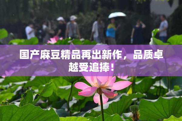 国产麻豆精品再出新作，品质卓越受追捧！