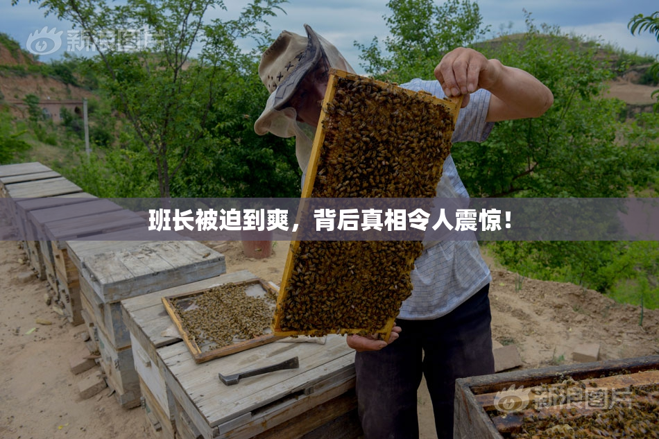 班长被迫到爽，背后真相令人震惊！