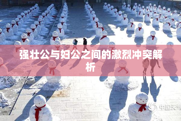 强壮公与妇公之间的激烈冲突解析
