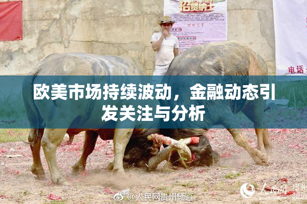 欧美市场持续波动，金融动态引发关注与分析