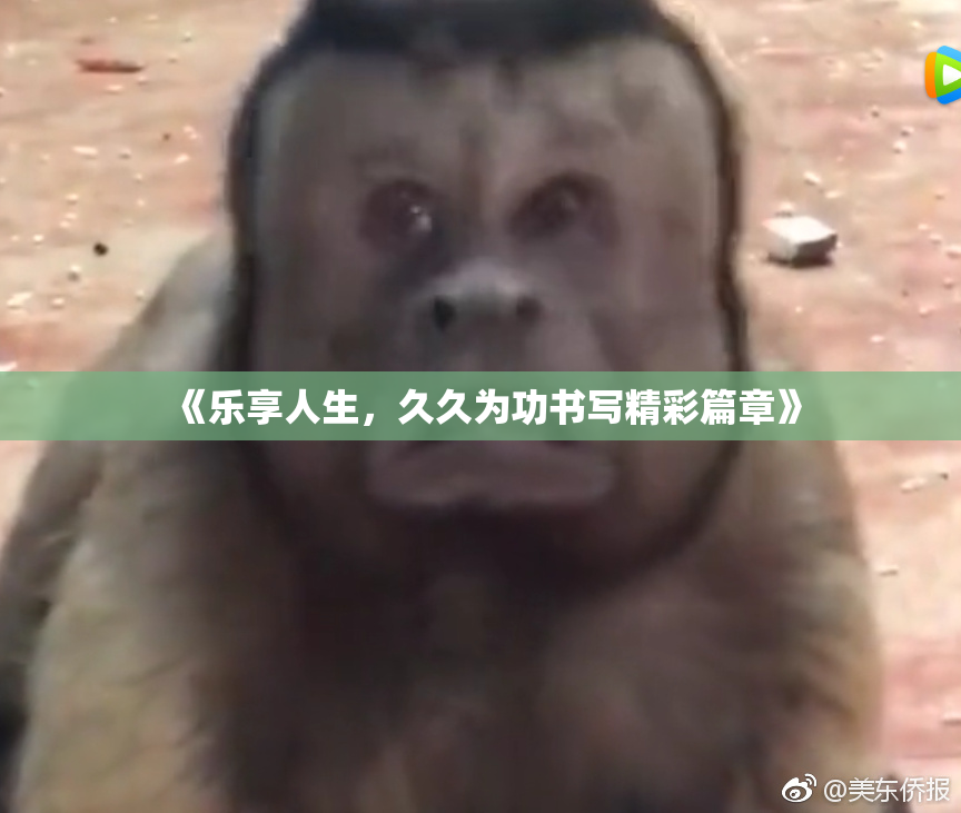 《乐享人生，久久为功书写精彩篇章》