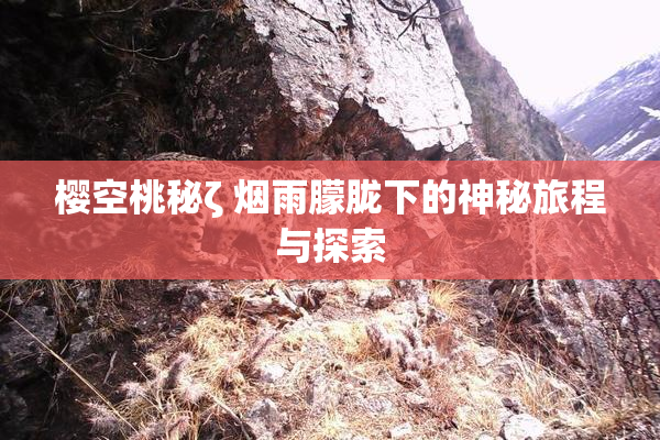 樱空桃秘ζ 烟雨朦胧下的神秘旅程与探索