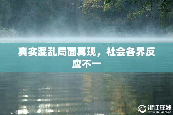 真实混乱局面再现，社会各界反应不一