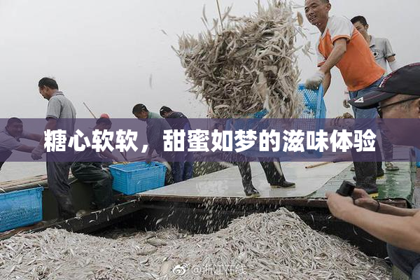 糖心软软，甜蜜如梦的滋味体验