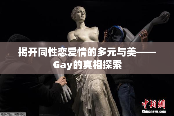 揭开同性恋爱情的多元与美——Gay的真相探索