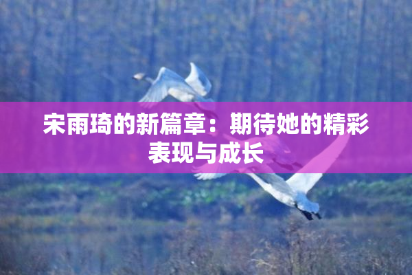 宋雨琦的新篇章：期待她的精彩表现与成长