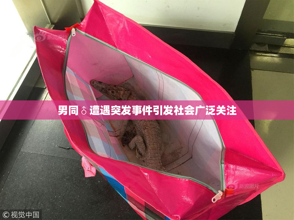 男同♂遭遇突发事件引发社会广泛关注