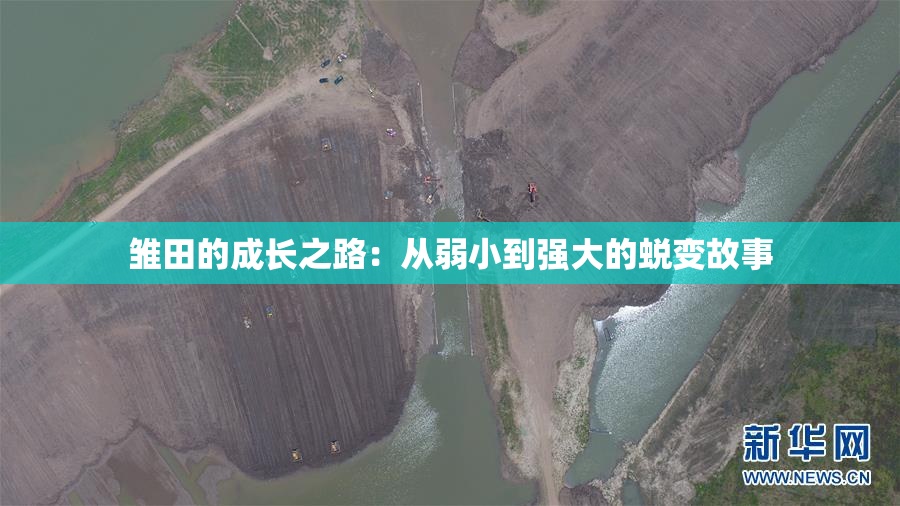 雏田的成长之路：从弱小到强大的蜕变故事