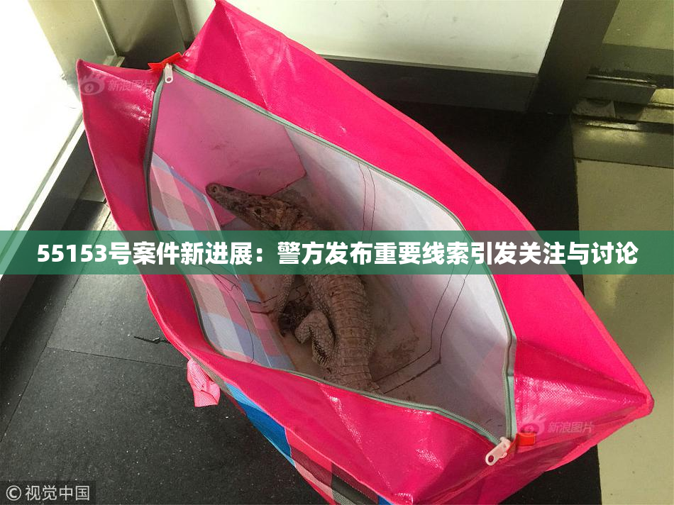 55153号案件新进展：警方发布重要线索引发关注与讨论