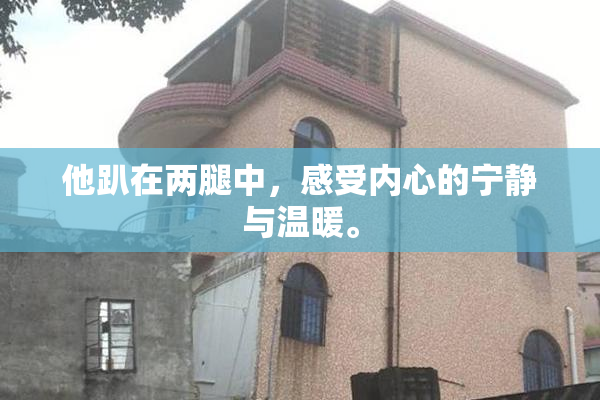 他趴在两腿中，感受内心的宁静与温暖。