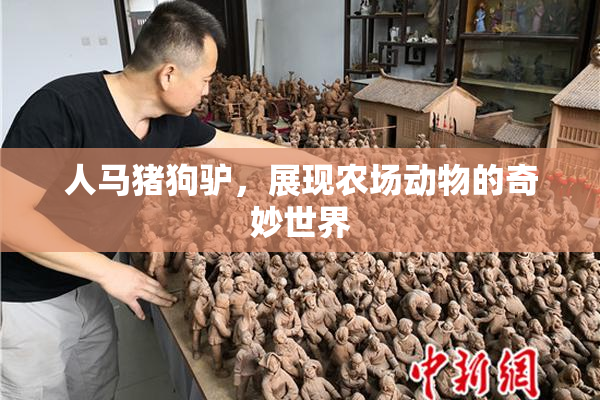 人马猪狗驴，展现农场动物的奇妙世界