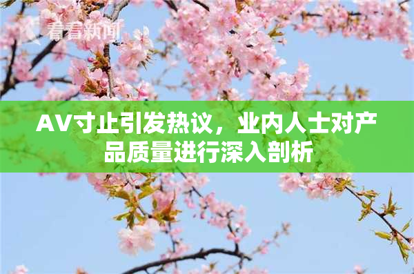AV寸止引发热议，业内人士对产品质量进行深入剖析