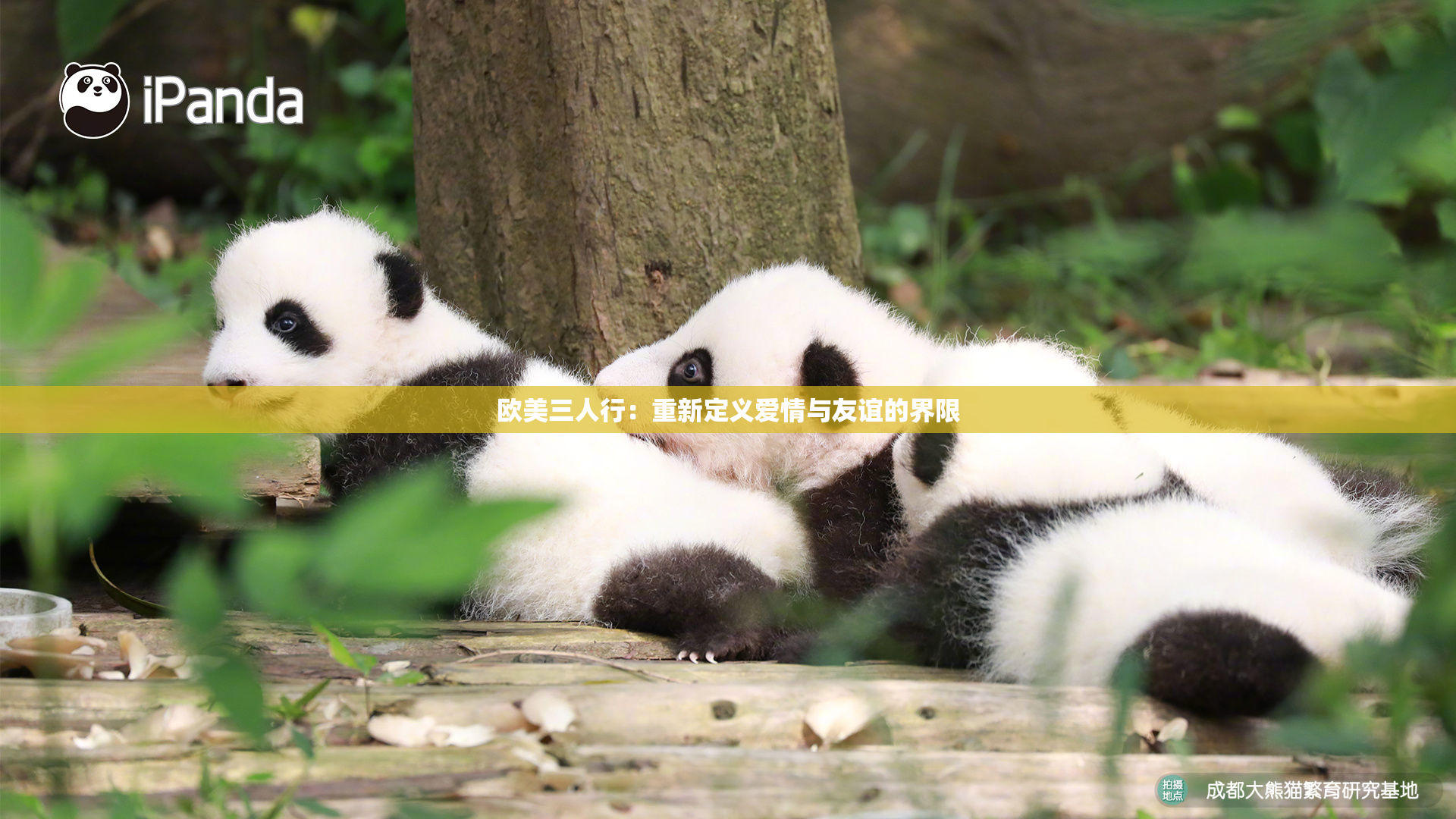 欧美三人行：重新定义爱情与友谊的界限