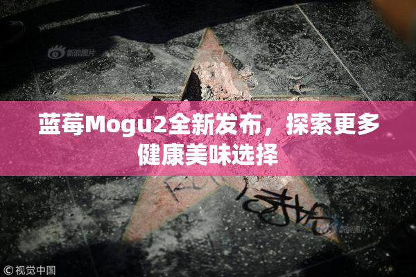 蓝莓Mogu2全新发布，探索更多健康美味选择