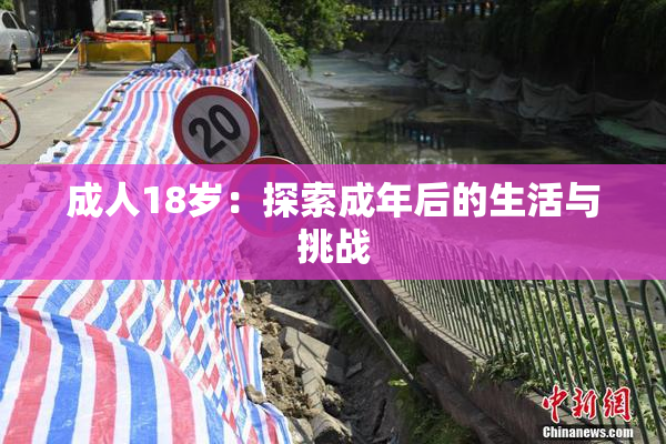 成人18岁：探索成年后的生活与挑战