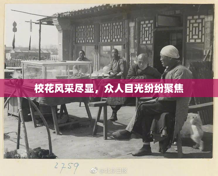 校花风采尽显，众人目光纷纷聚焦