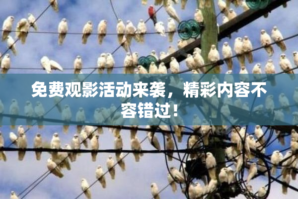 免费观影活动来袭，精彩内容不容错过！