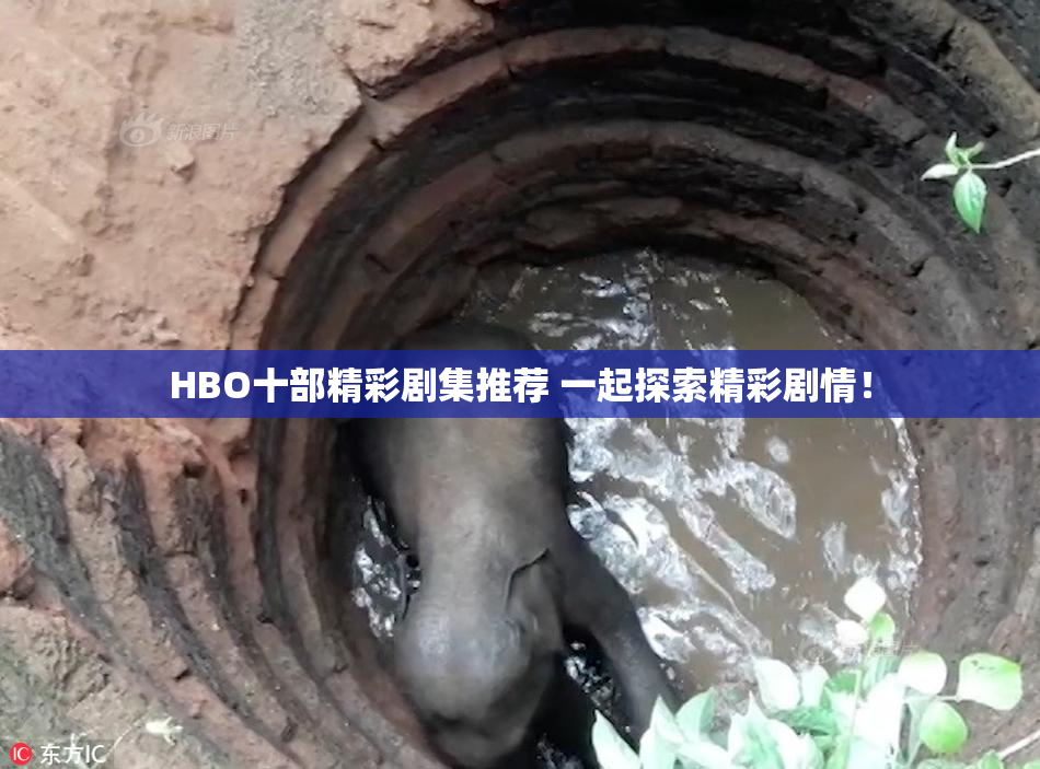 HBO十部精彩剧集推荐 一起探索精彩剧情！