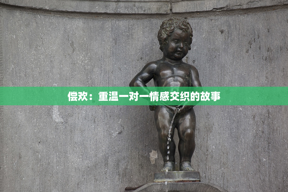 偿欢：重温一对一情感交织的故事