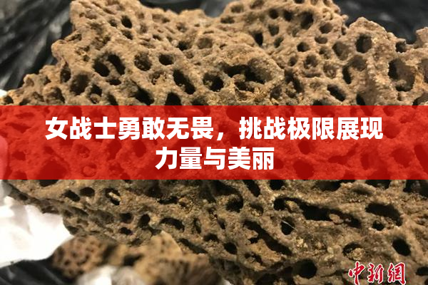 女战士勇敢无畏，挑战极限展现力量与美丽