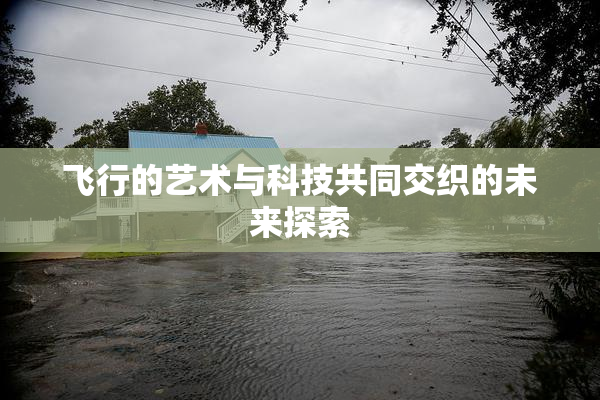 飞行的艺术与科技共同交织的未来探索