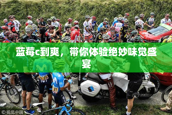 蓝莓c到爽，带你体验绝妙味觉盛宴